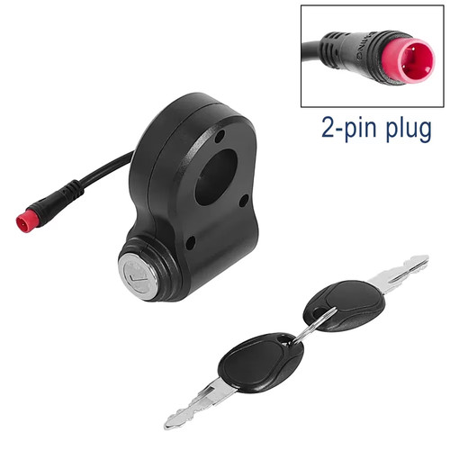 Pin electric door - electric,